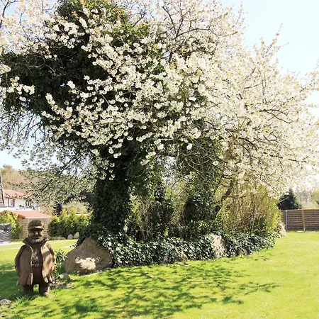 Ostseeresidenz 35 * Wischuer